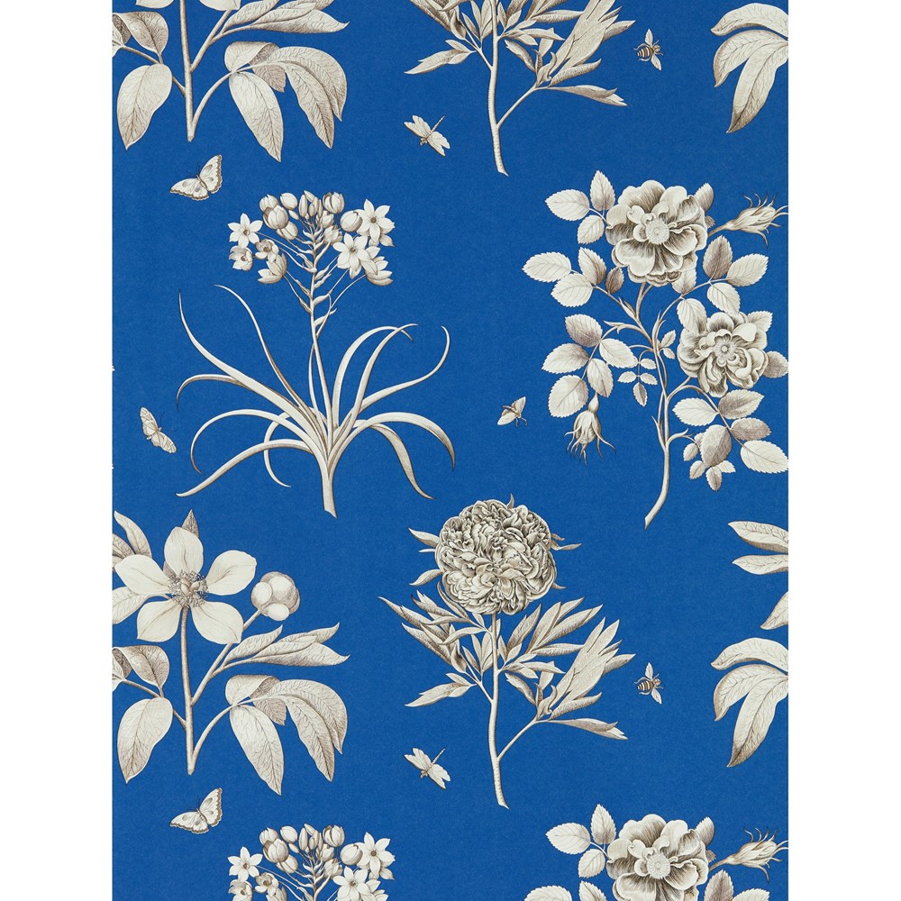 Etchings & Roses Wallpaper 217053 by Sanderson in French Blue